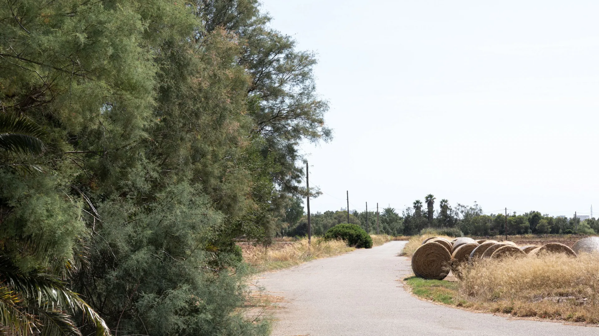 Palma de Mallorca 11 bedrooms country house for sale