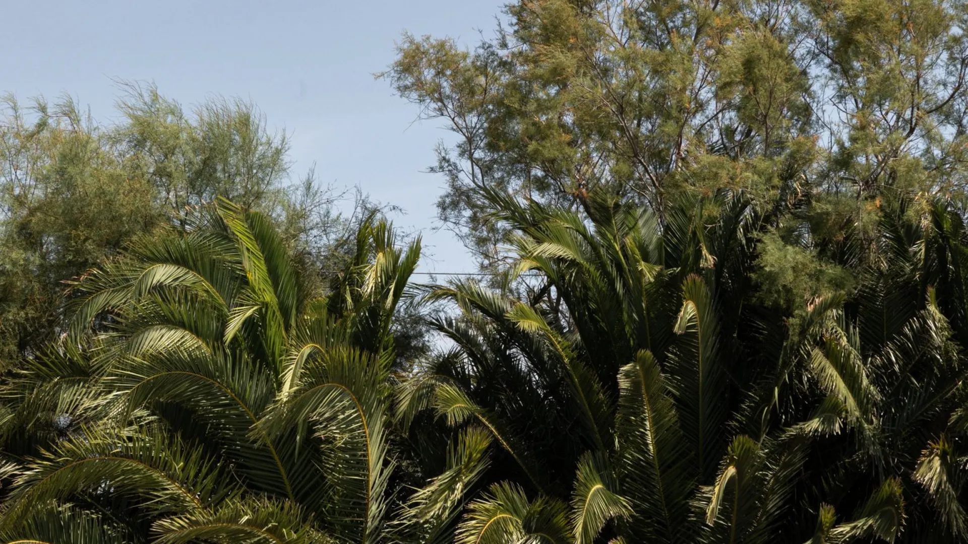 Palma de Mallorca 11 bedrooms country house for sale