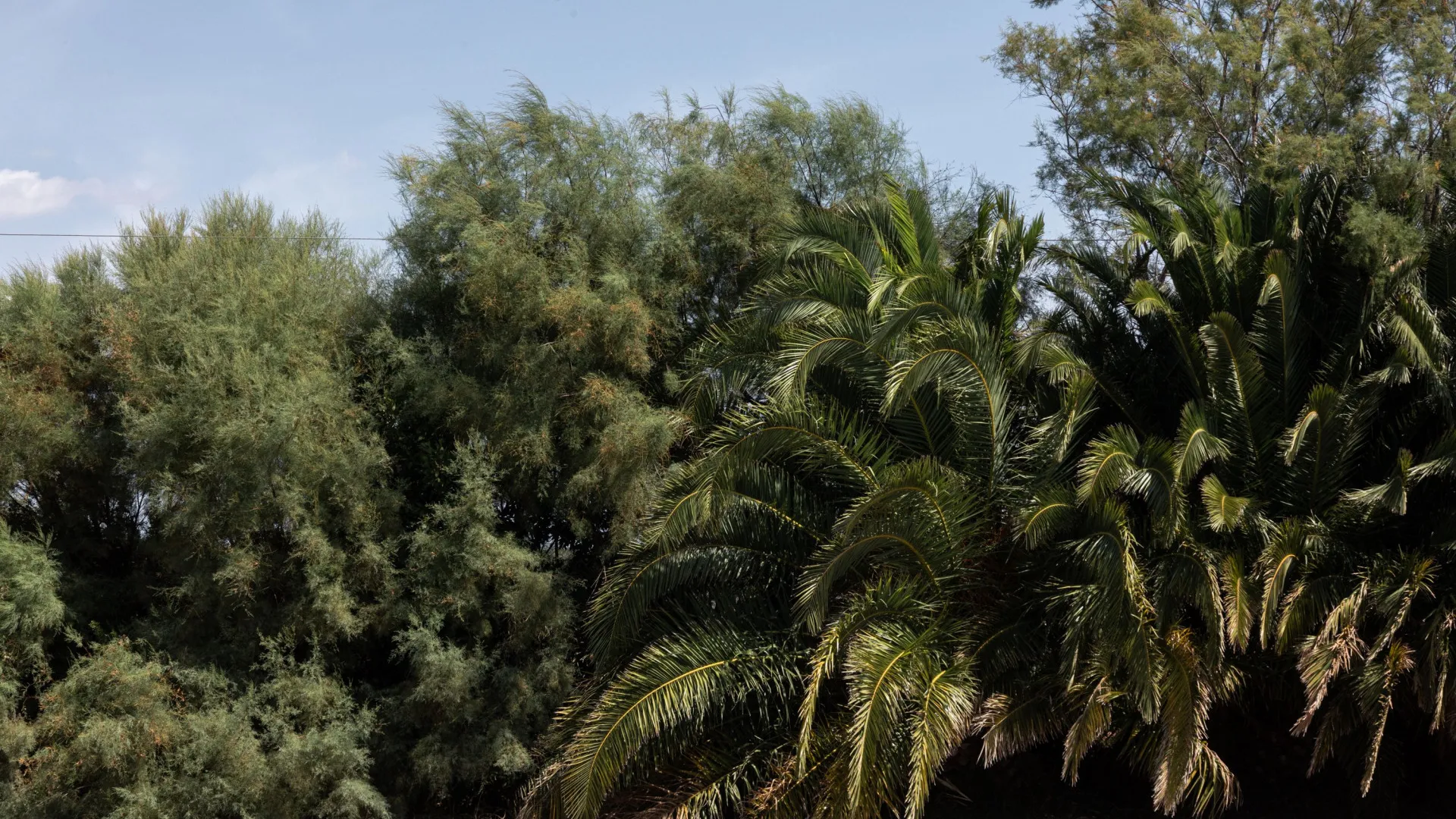 Palma de Mallorca 11 bedrooms country house for sale