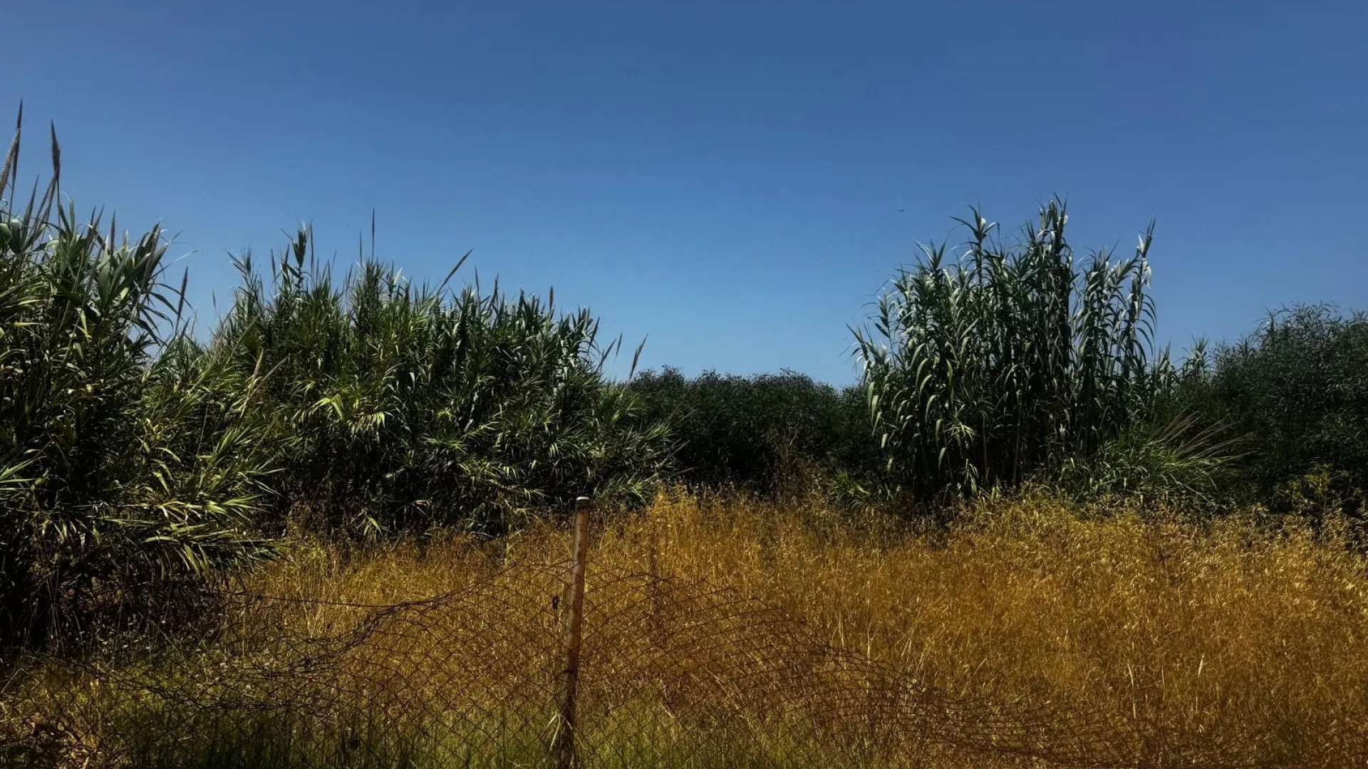 Plot for sale in La Linea de la Concepcion