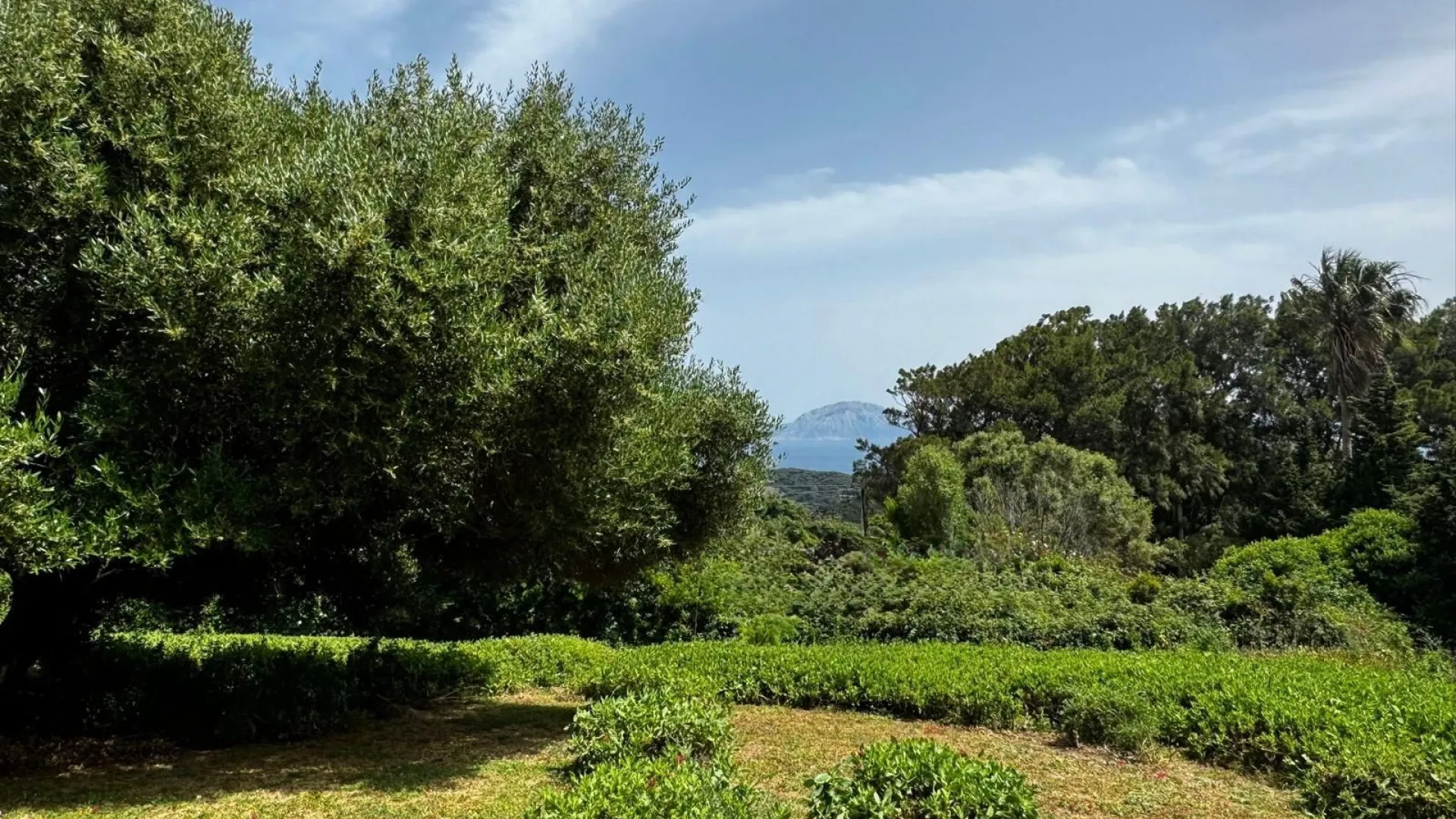 El Cuartón, parcela residencial en venta