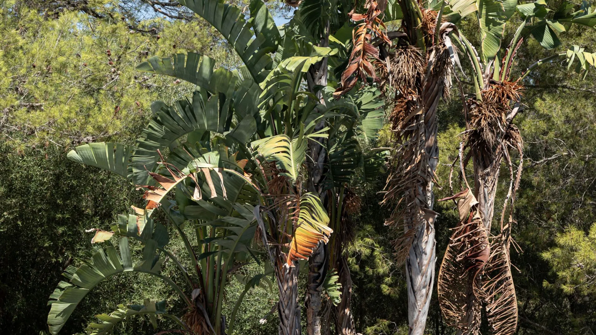 For sale villa in Esporles