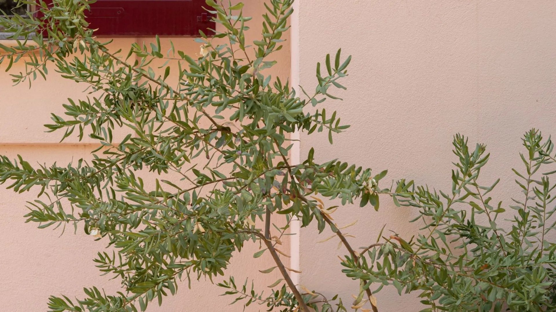 For sale villa in Esporles