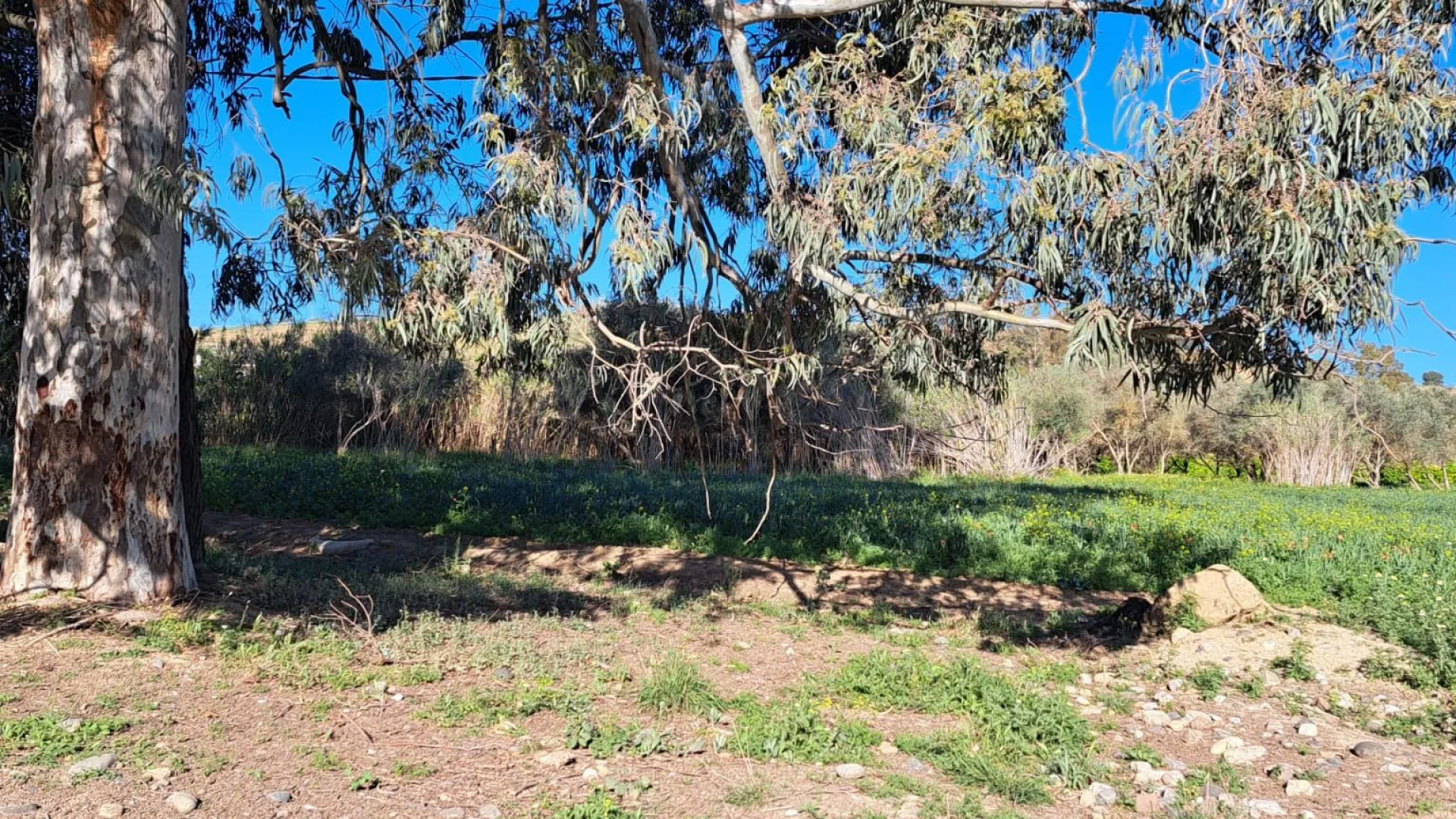 For sale plot in Cartama