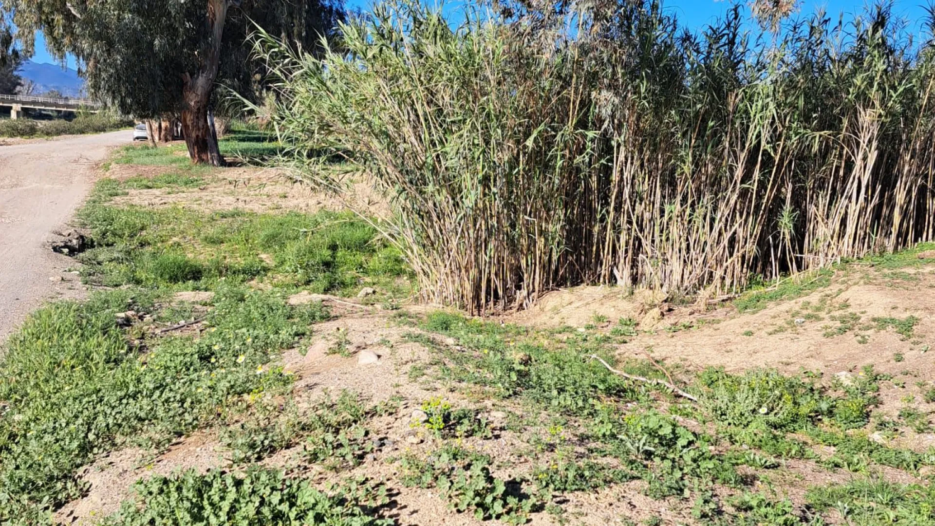 For sale plot in Cartama