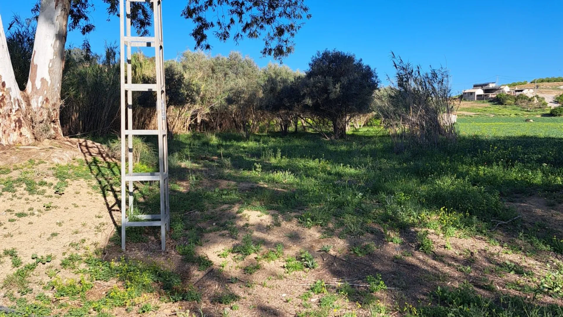 For sale plot in Cartama