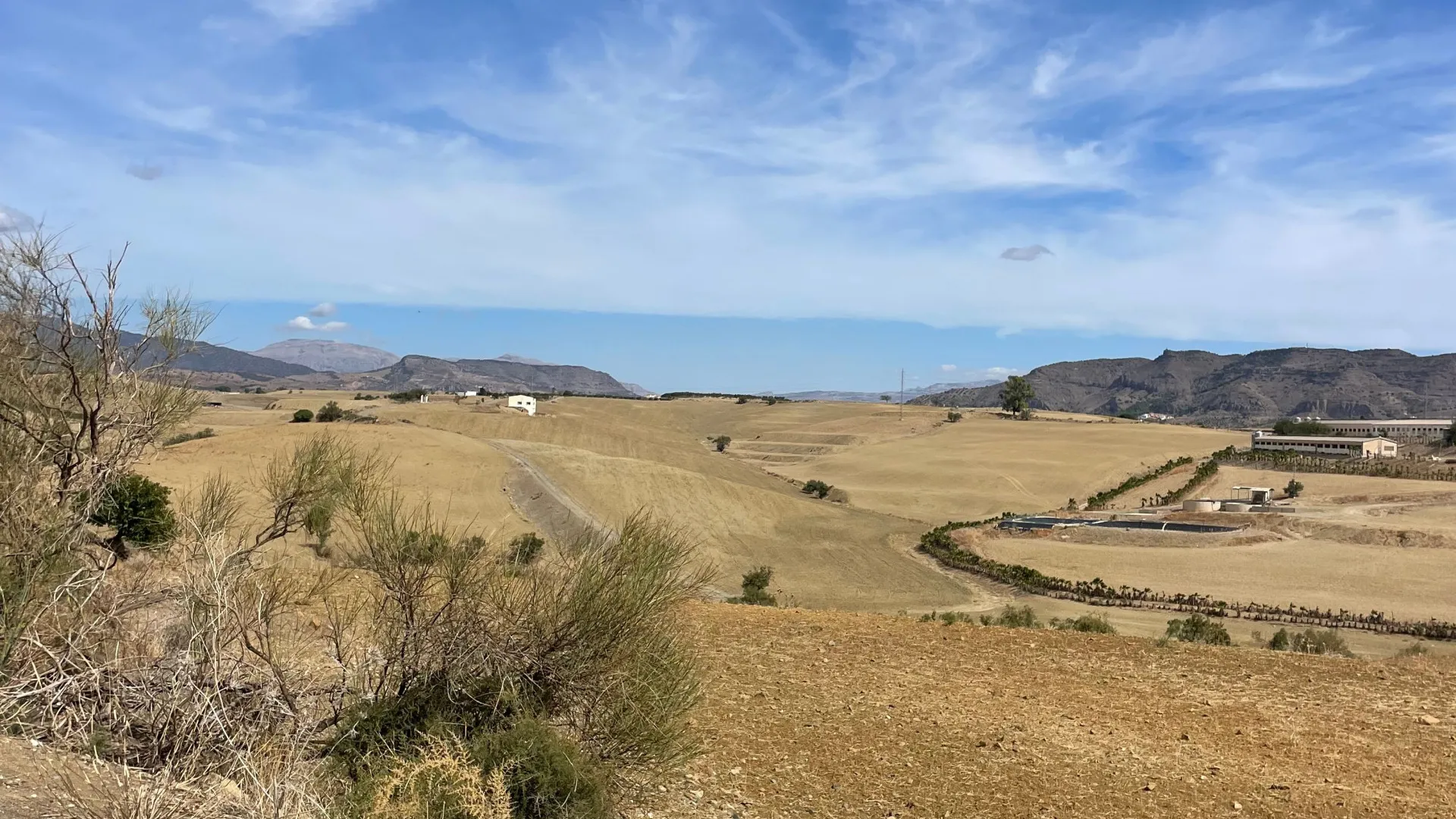 For sale plot in Cartama