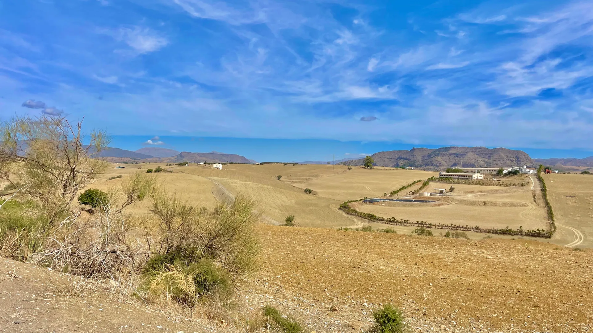 For sale plot in Cartama