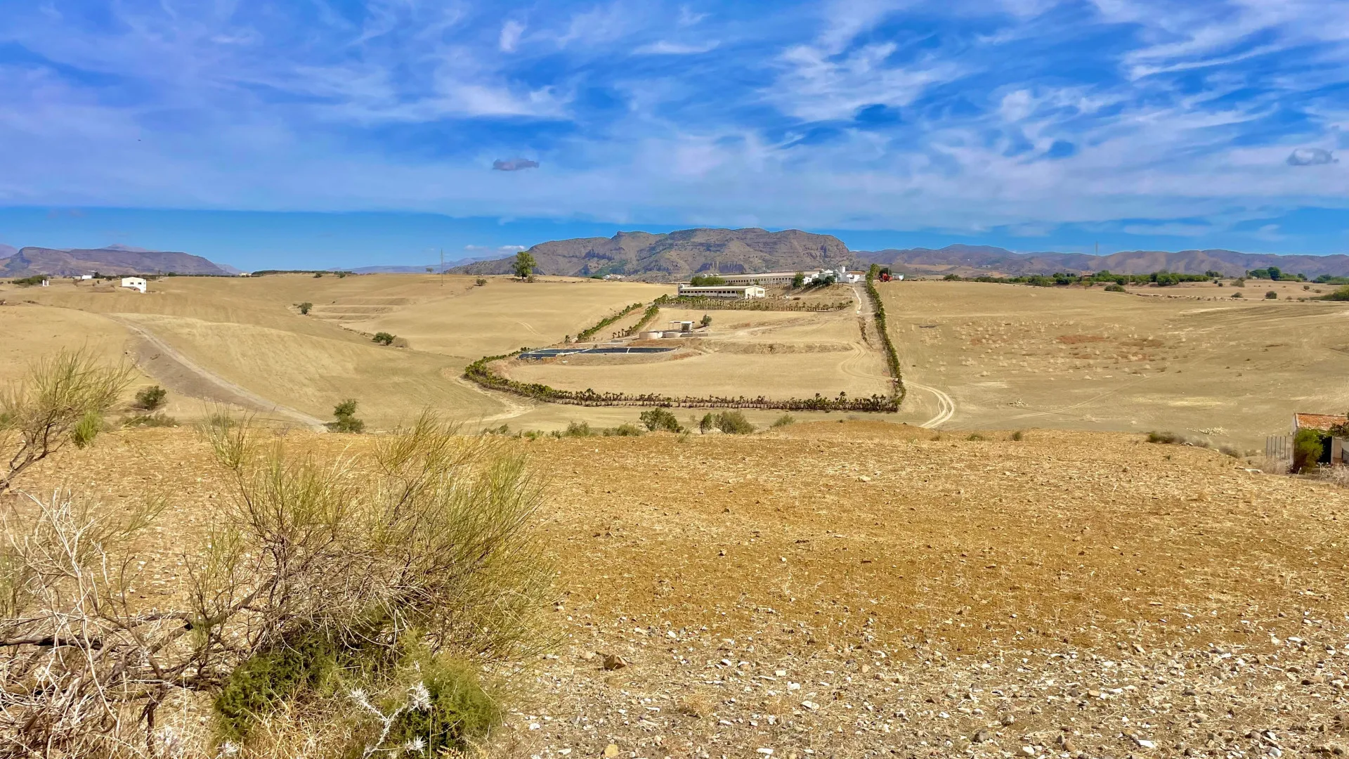 For sale plot in Cartama