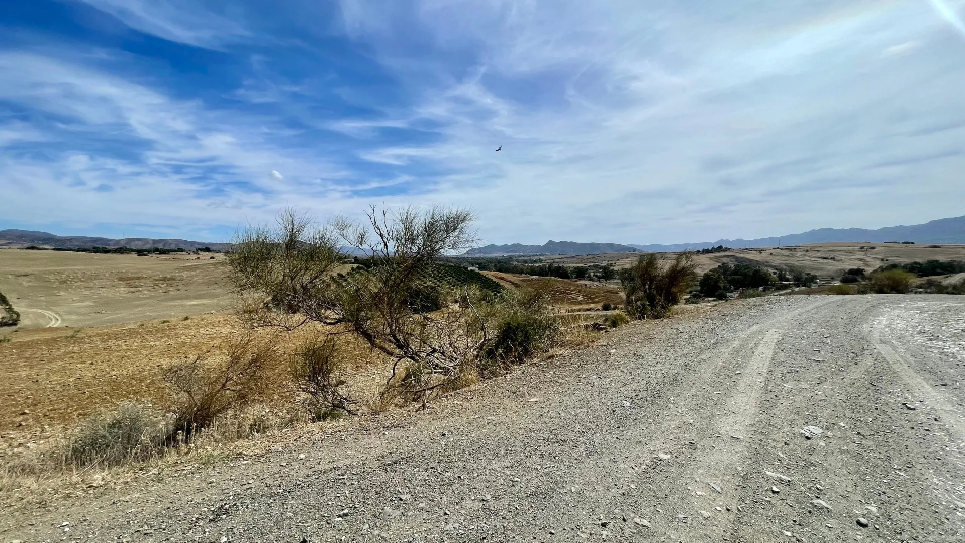 For sale plot in Cartama