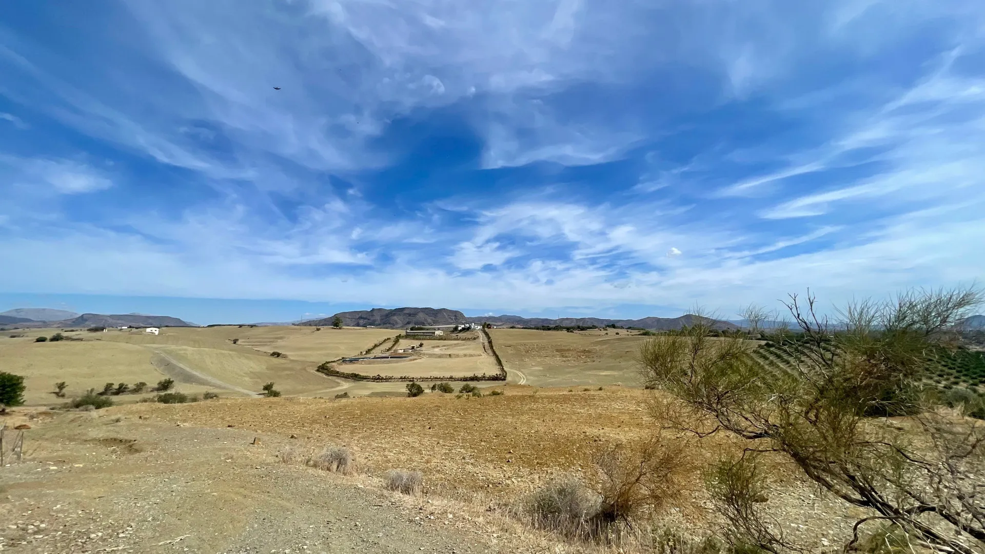 For sale plot in Cartama