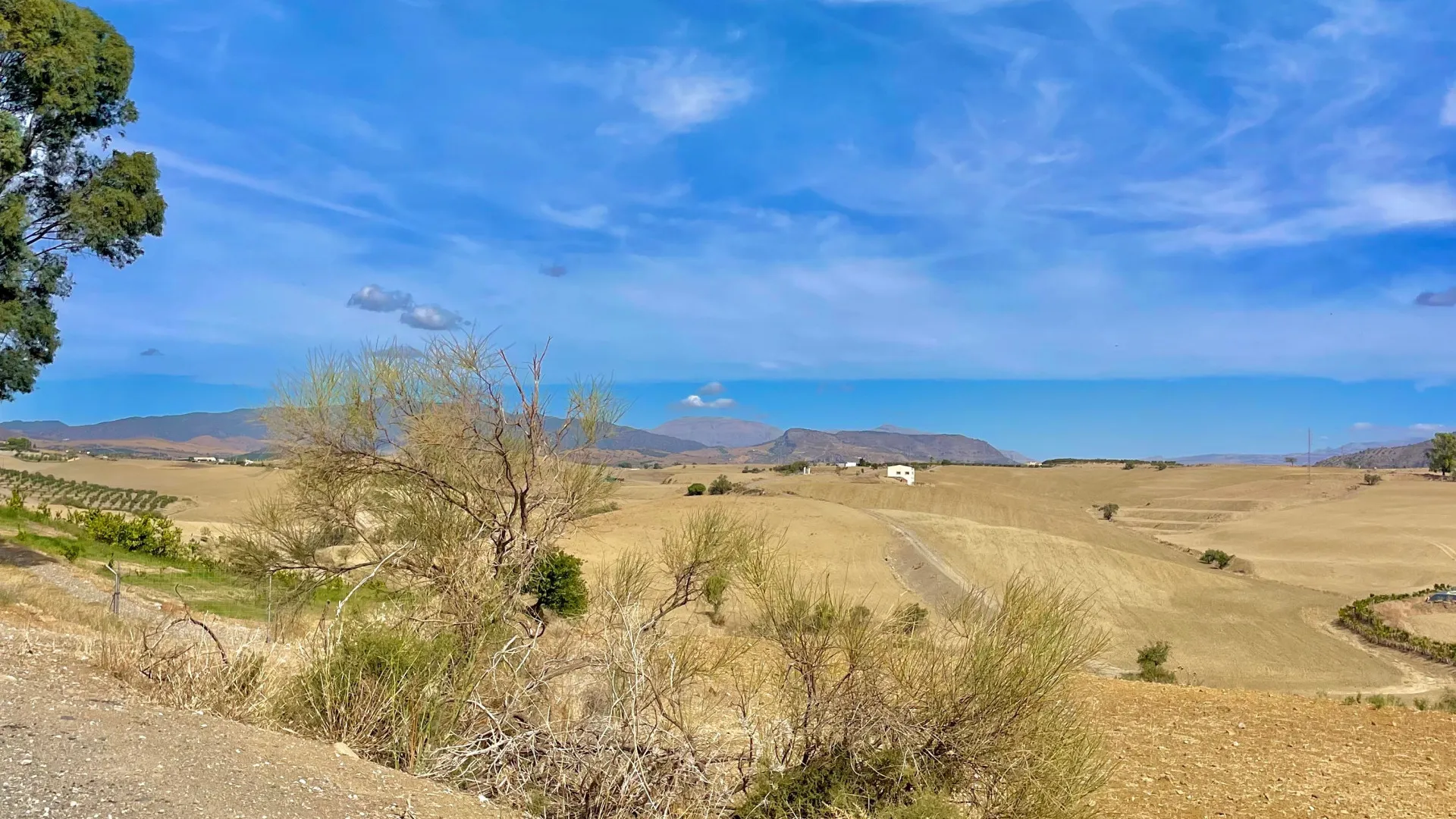 For sale plot in Cartama