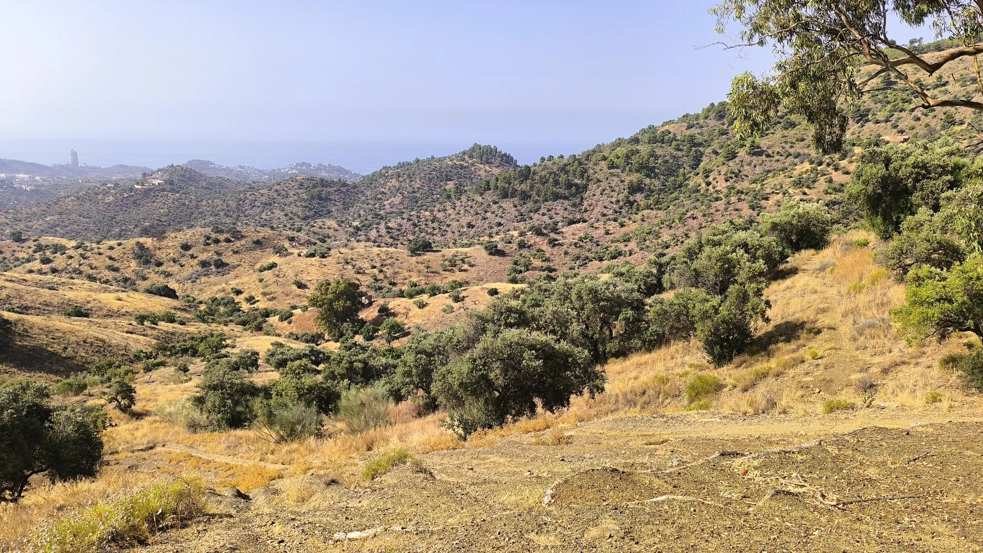 Comprar parcela en Pinares de San Antón