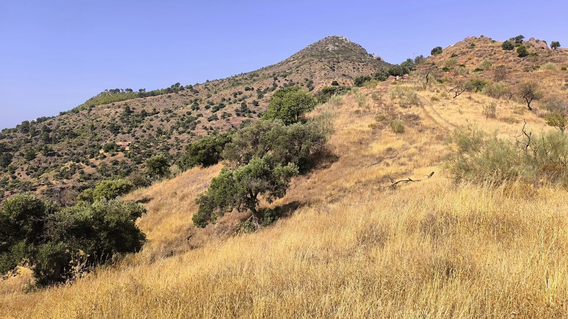 Comprar parcela en Pinares de San Antón