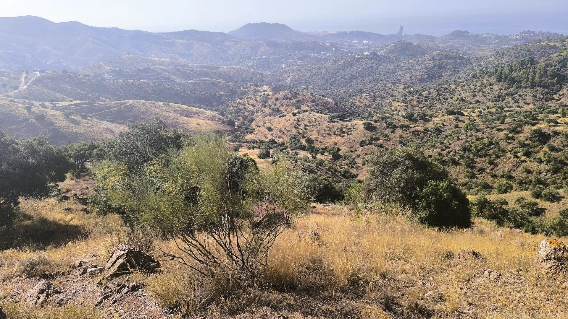Comprar parcela en Pinares de San Antón