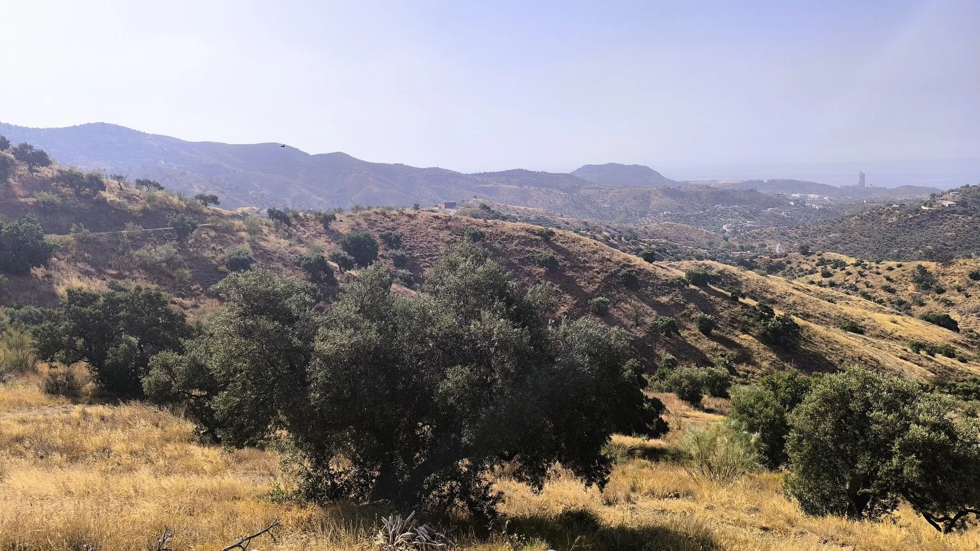 Comprar parcela en Pinares de San Antón