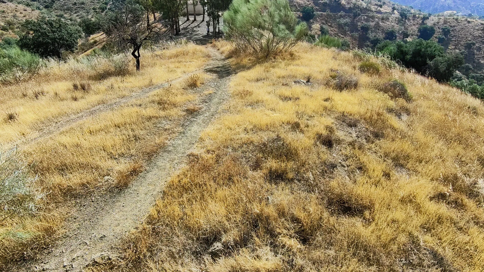 Comprar parcela en Pinares de San Antón