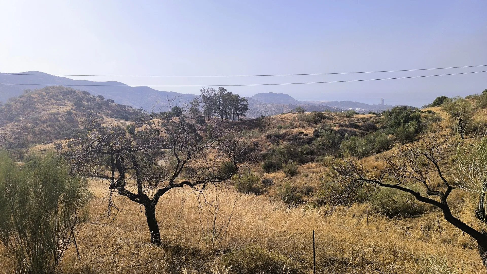 Comprar parcela en Pinares de San Antón