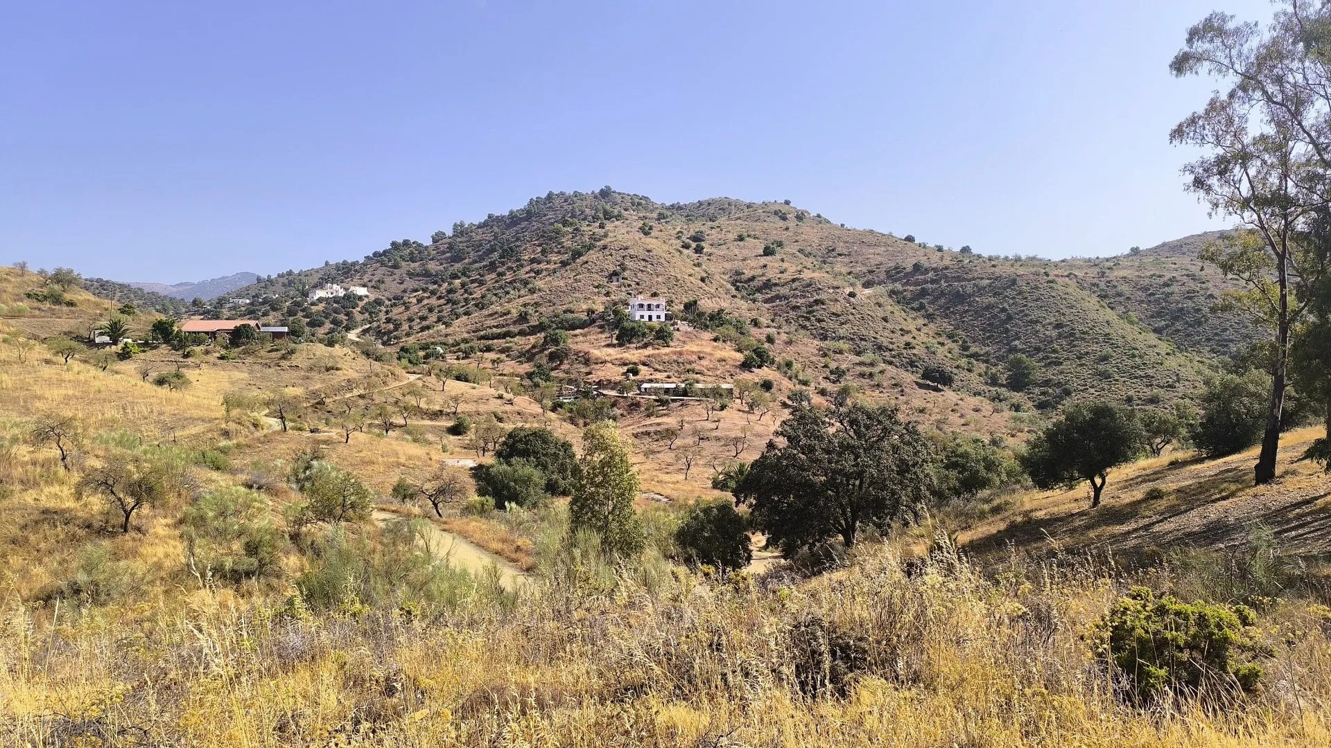 Comprar parcela en Pinares de San Antón