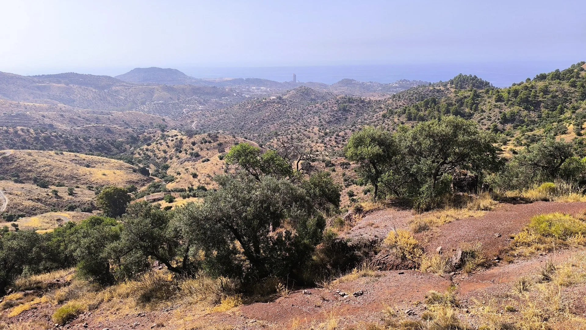 Comprar parcela en Pinares de San Antón