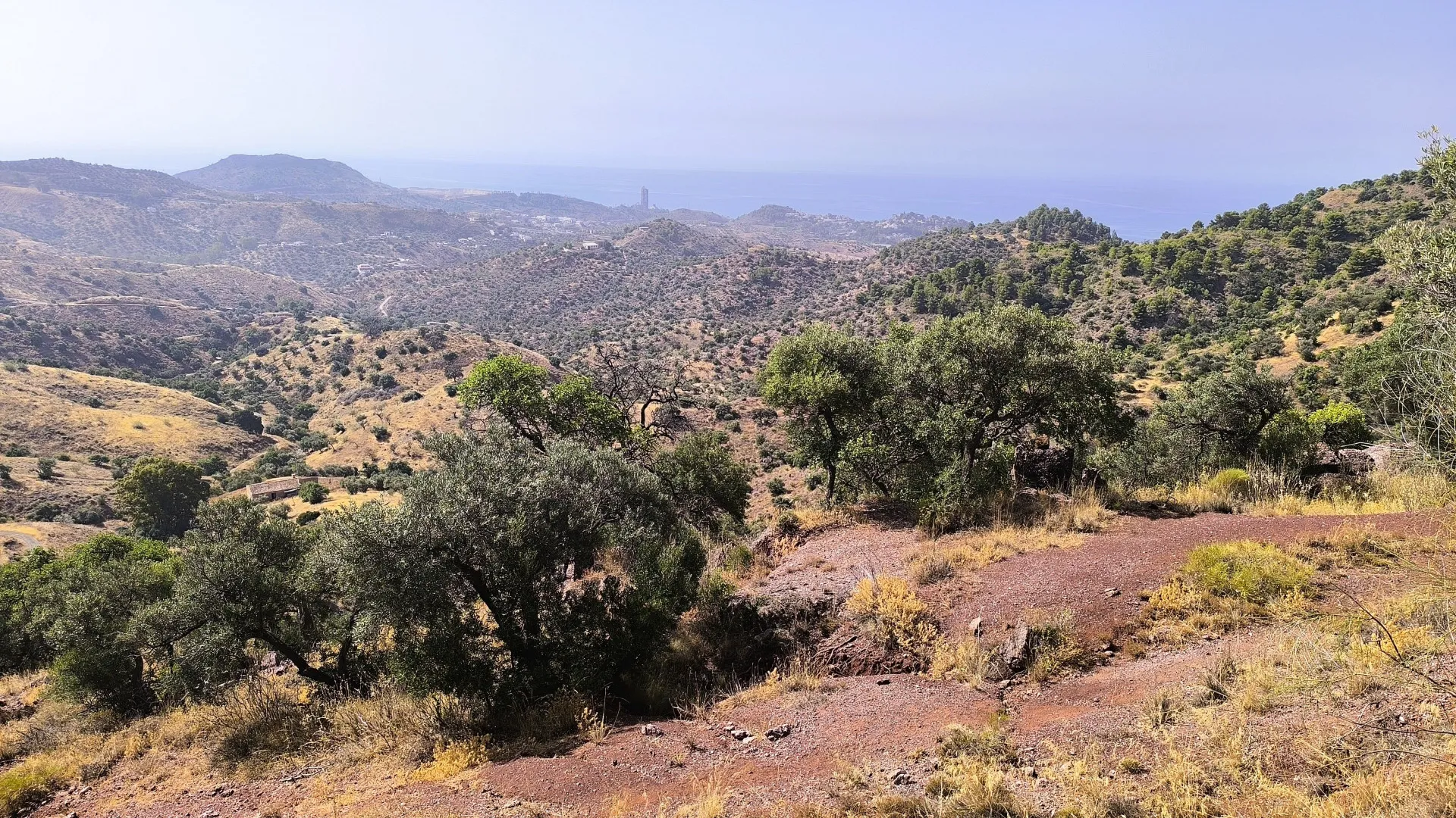 Comprar parcela en Pinares de San Antón