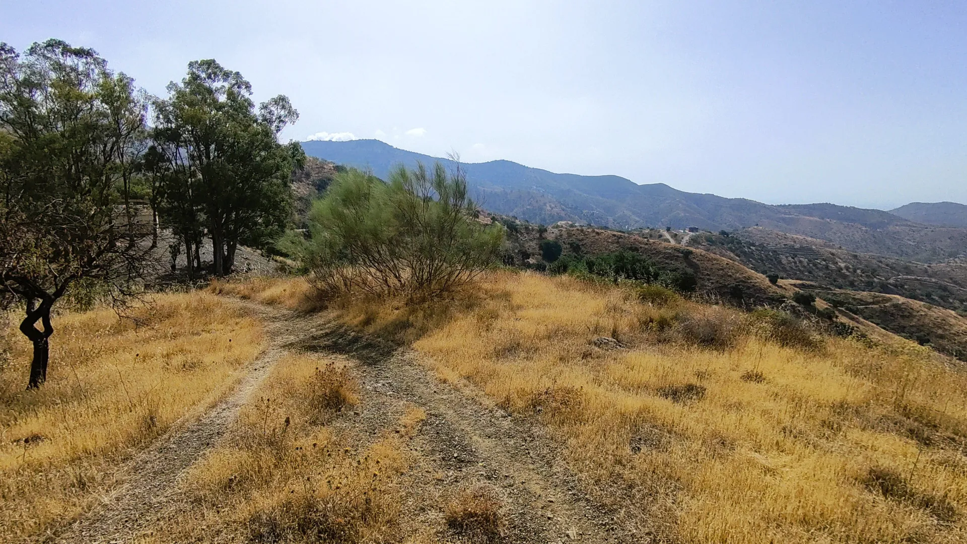 Comprar parcela en Pinares de San Antón