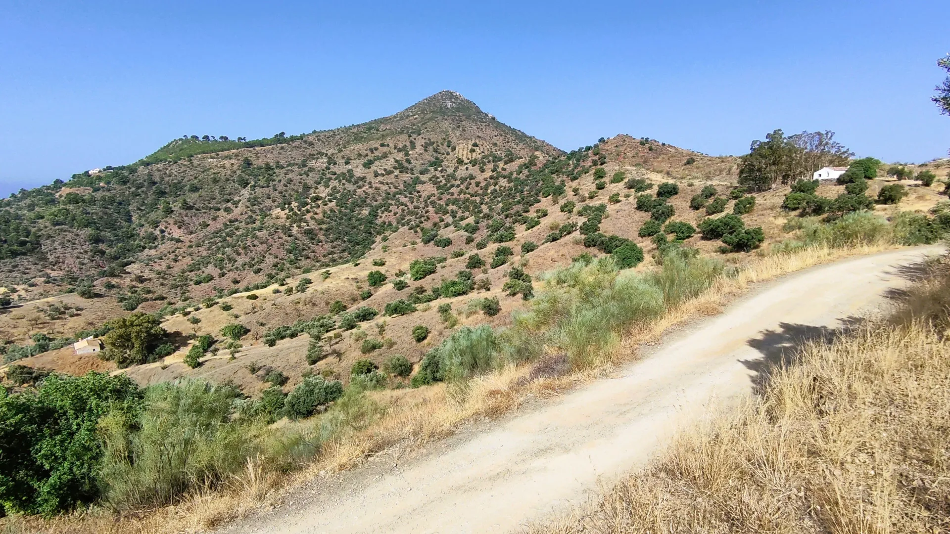 Comprar parcela en Pinares de San Antón