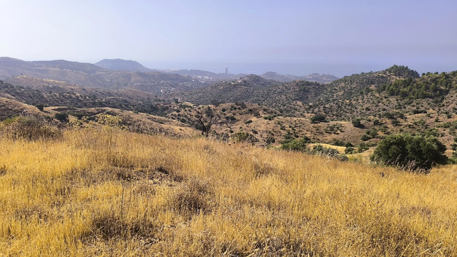 Comprar parcela en Pinares de San Antón