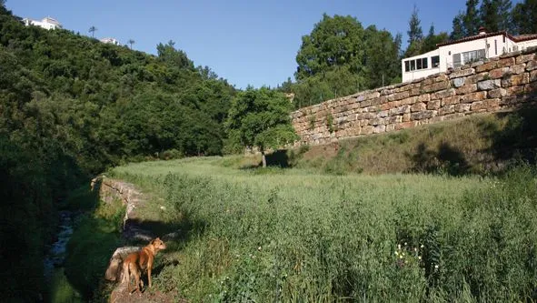 Benahavis plot for sale