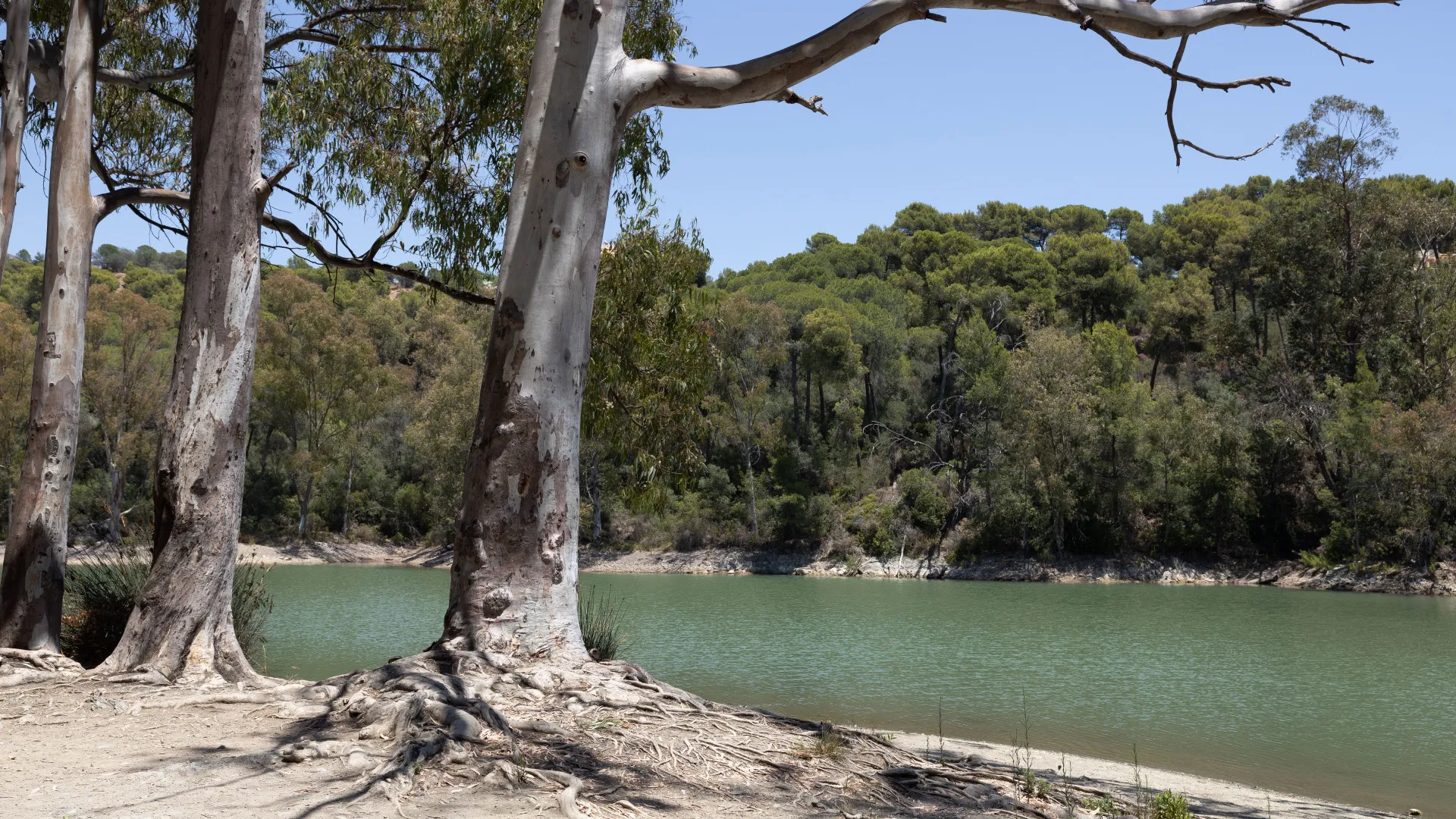 Atico duplex en venta en Los Naranjos con 3 dormitorios