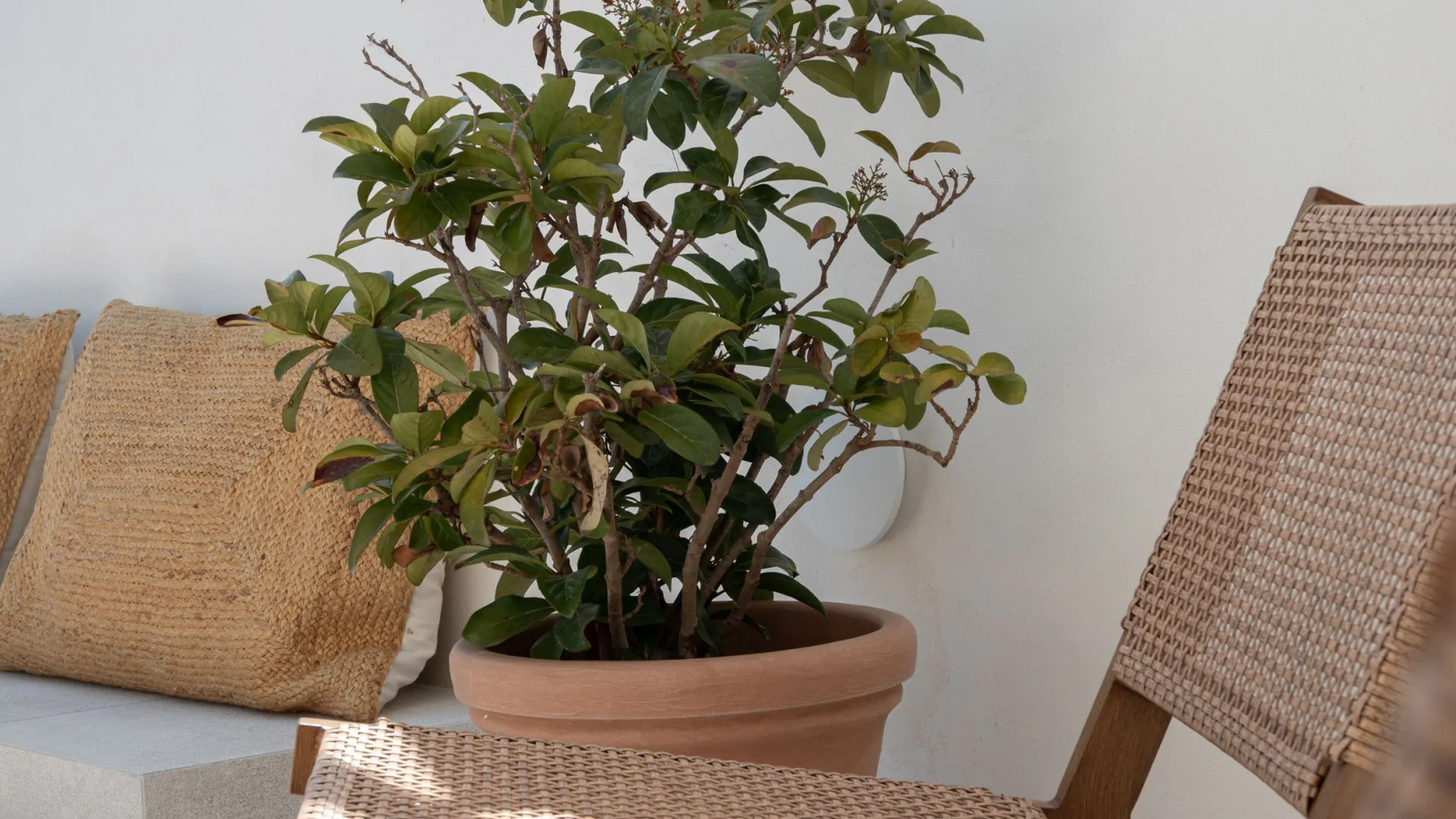 Comprar apartamento en Cas Catala - Illetes con 4 dormitorios