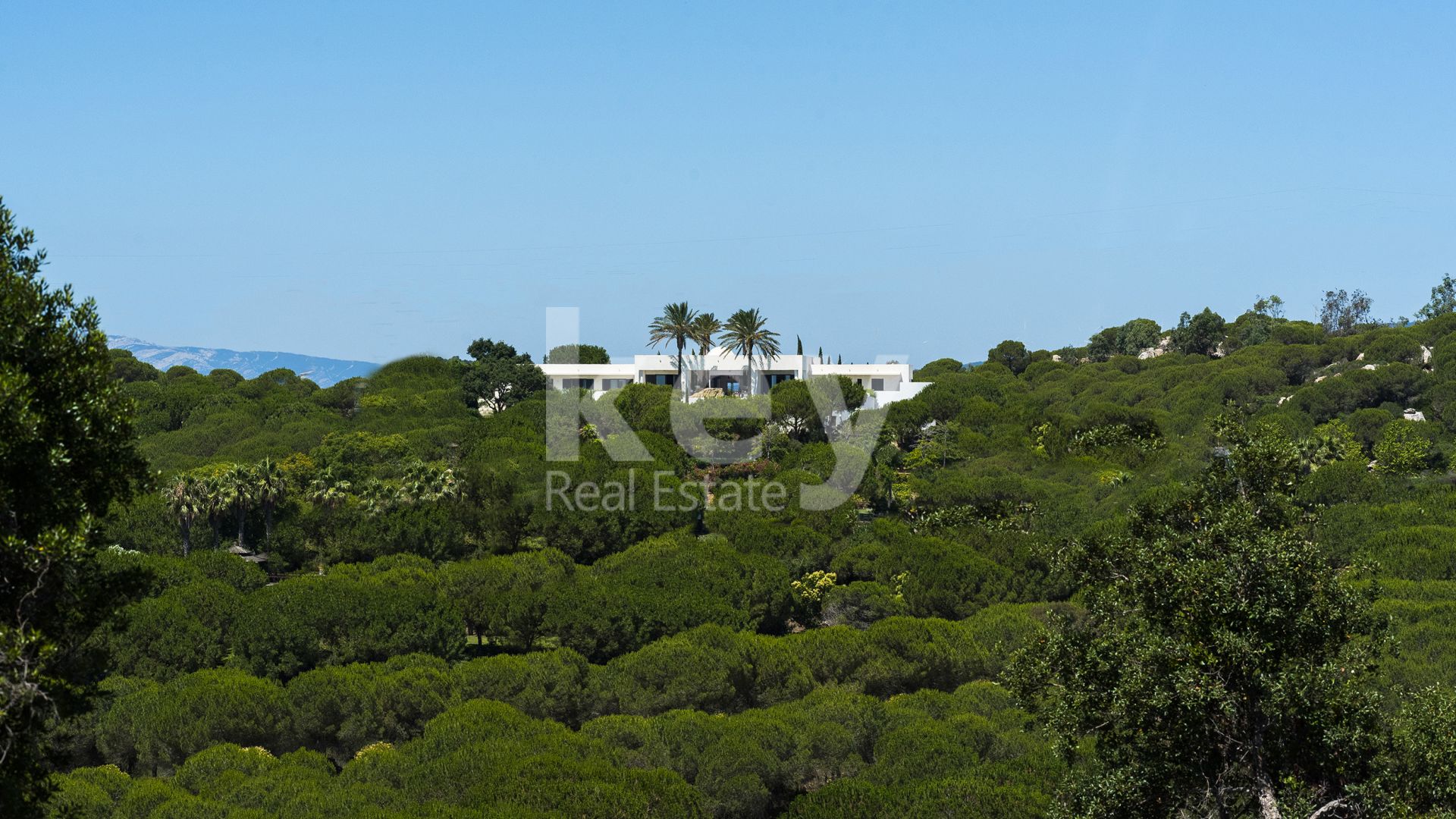 Compra Venta Trueque Campo De Gibraltar