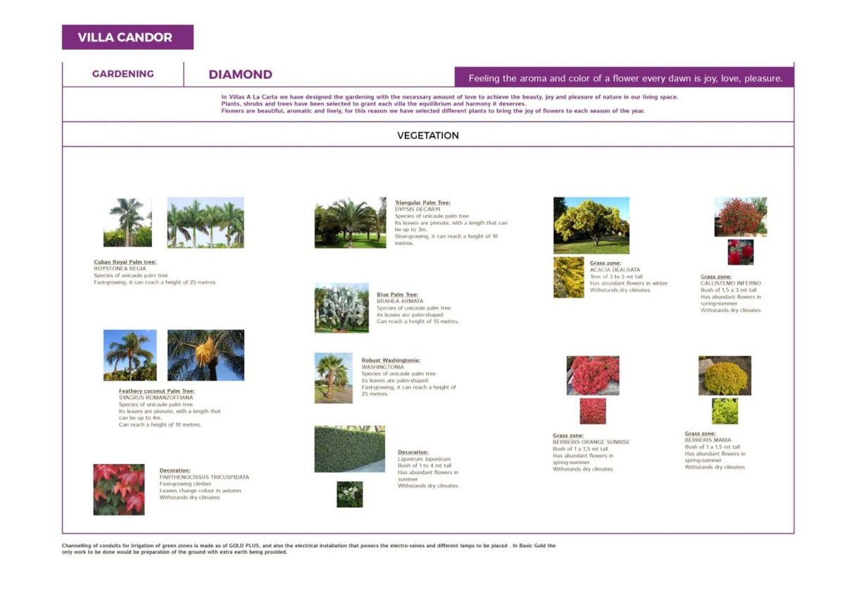 Villa for sale in Malaga