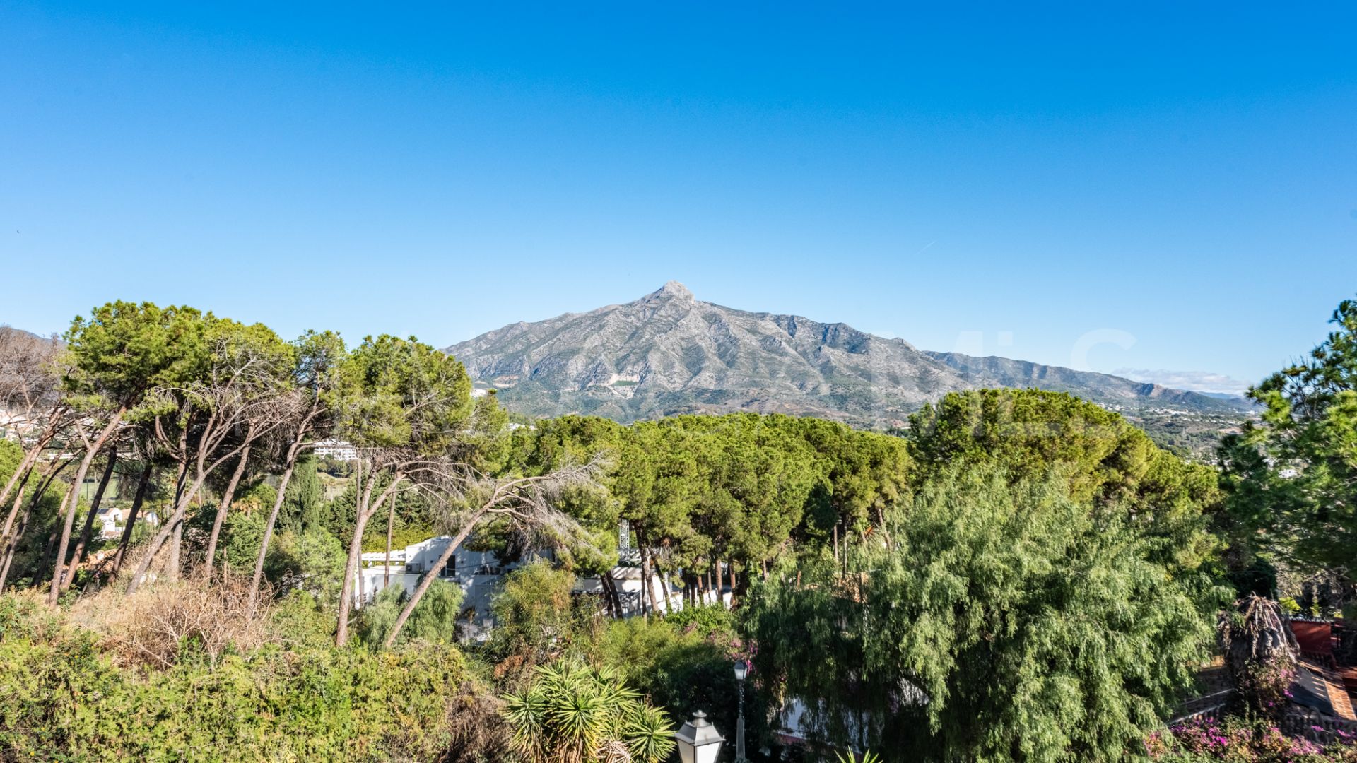 Ground floor duplex for sale in Nueva Andalucia