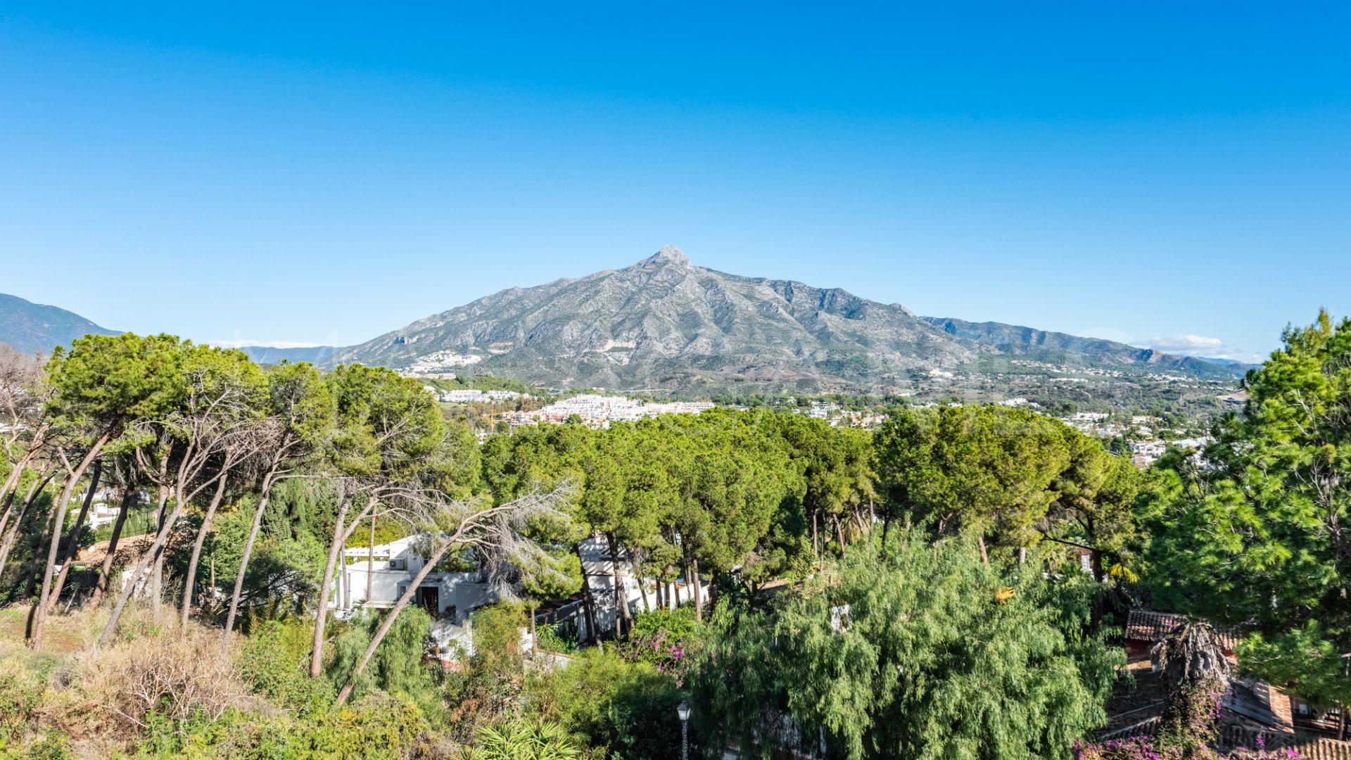 Ground floor duplex for sale in Nueva Andalucia