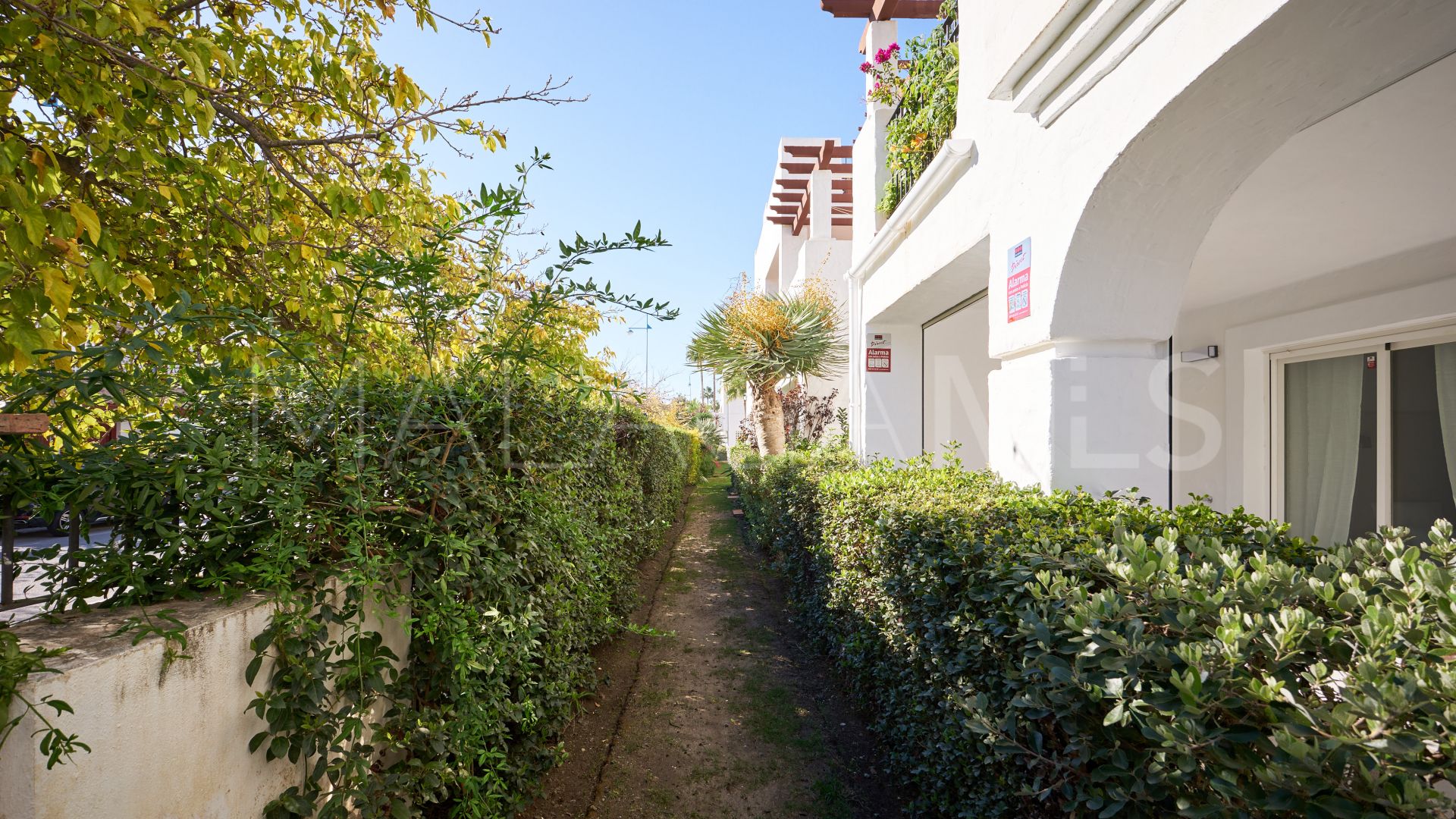 Apartamento planta baja for sale de 3 bedrooms in San Pedro de Alcantara