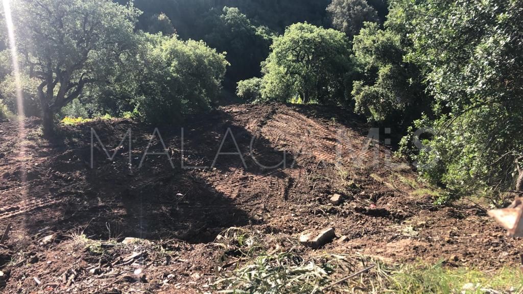 Elviria plot for sale