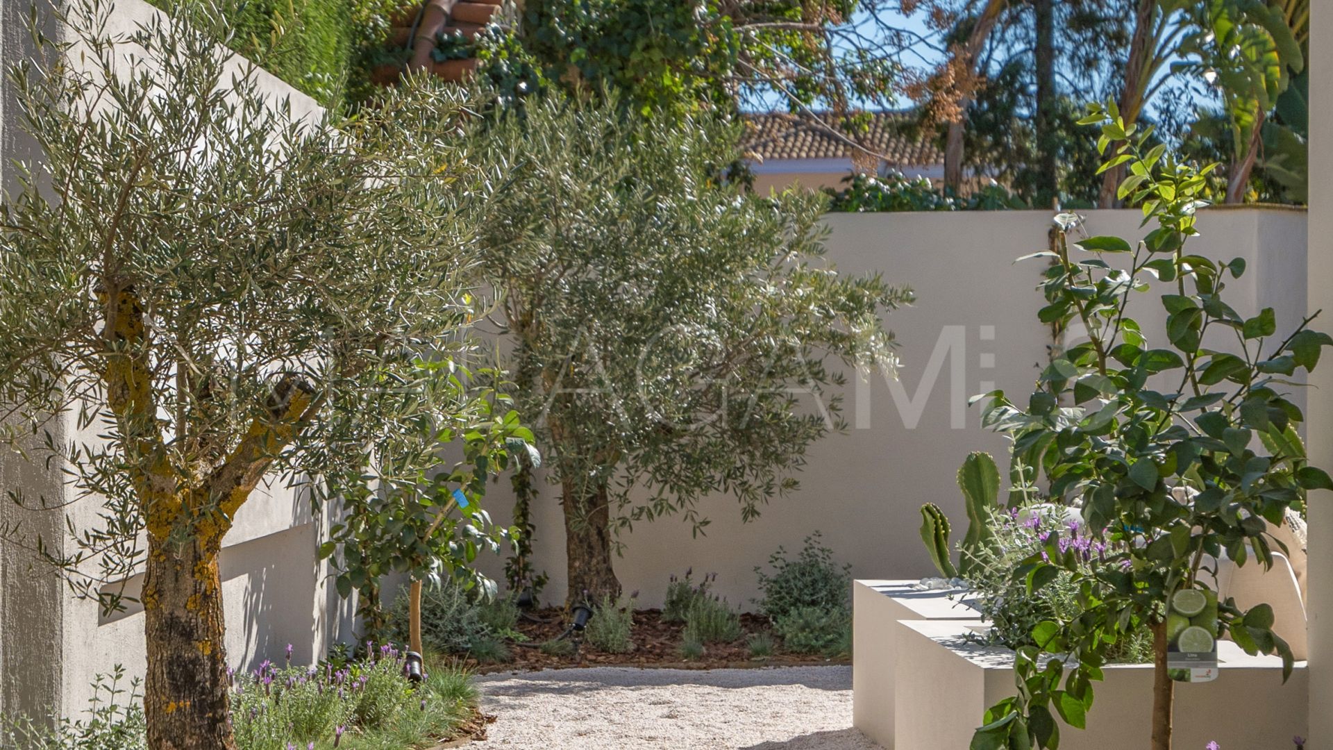 Villa for sale in Cortijo Blanco