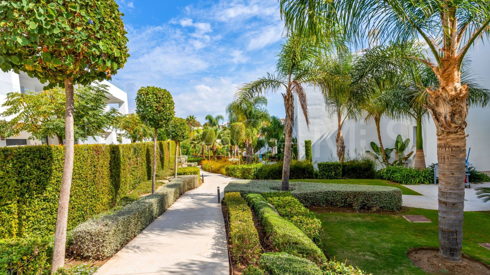 Wohnung for sale in Cortijo del Golf