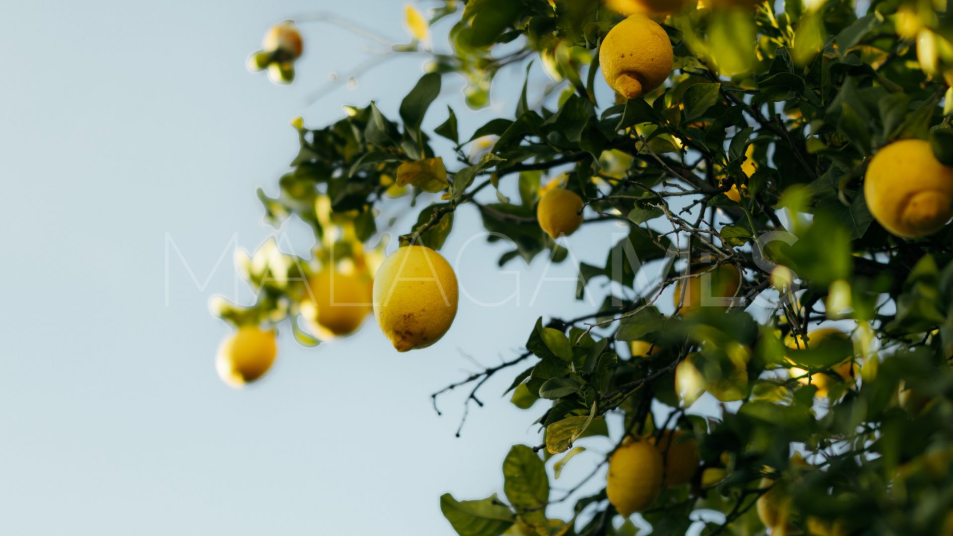 Se vende adosado in Atalaya