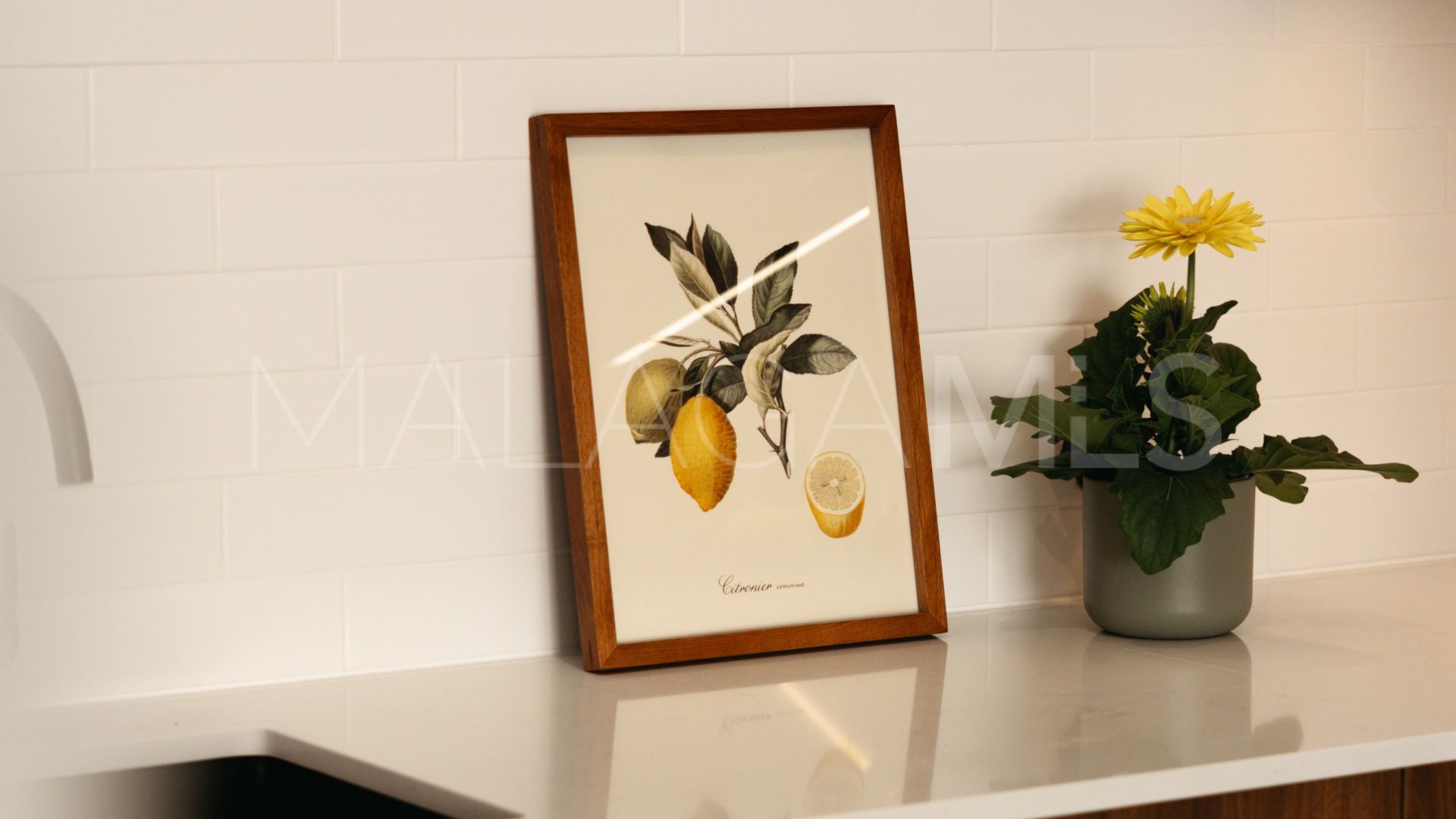 Se vende adosado in Atalaya