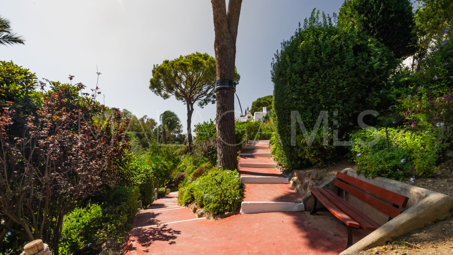 Buy apartamento in Benahavis de 3 bedrooms