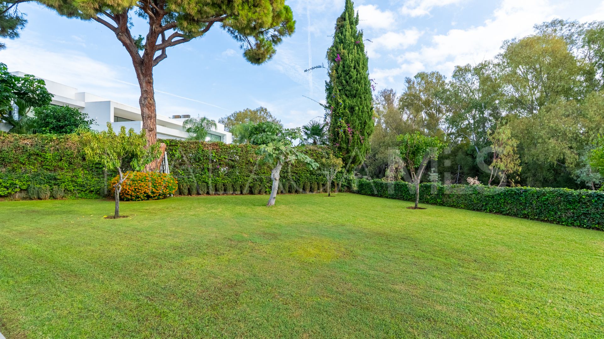 Villa for sale in Guadalmina Baja