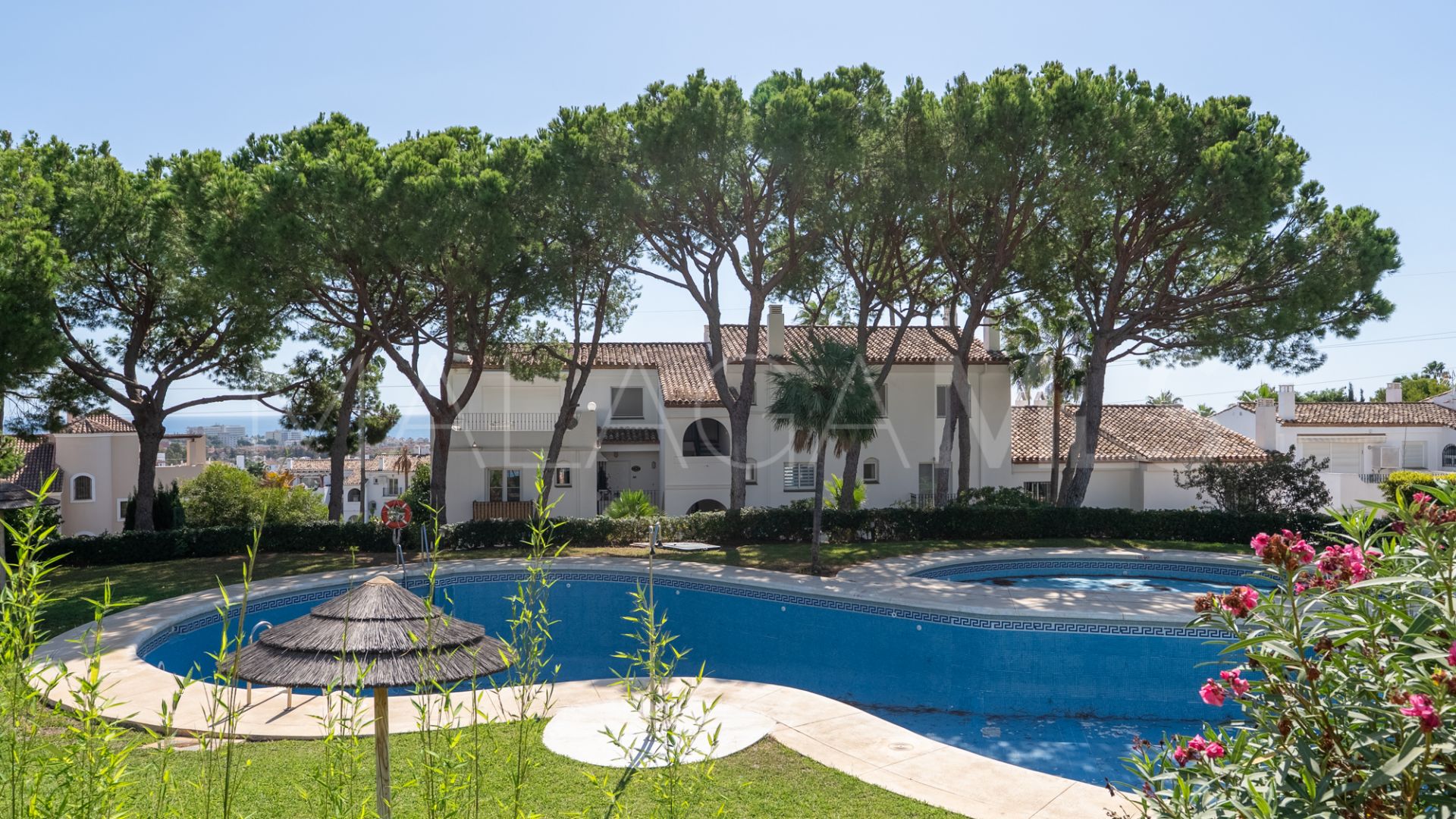 Studio for sale in Benavista