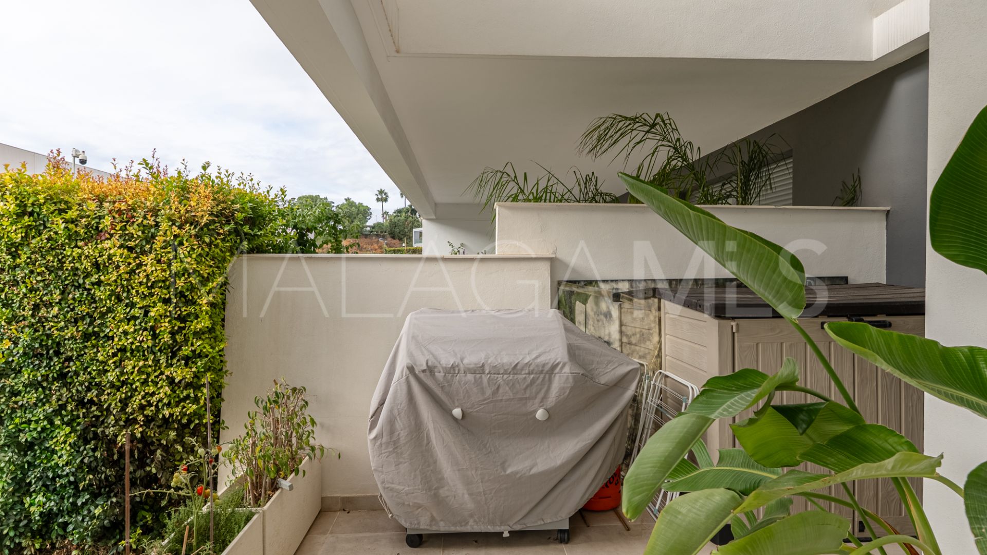 Ground floor apartment for sale in Estepona East