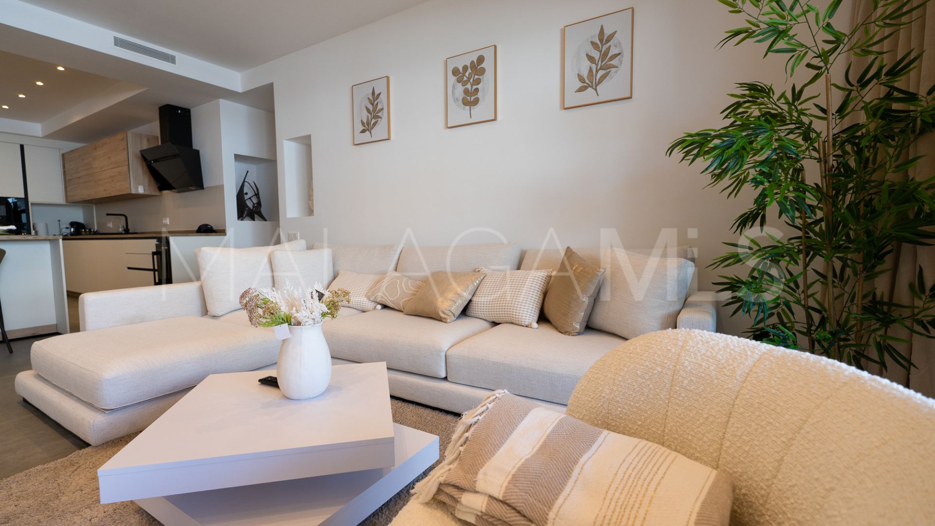 San Pedro Playa, apartamento for sale