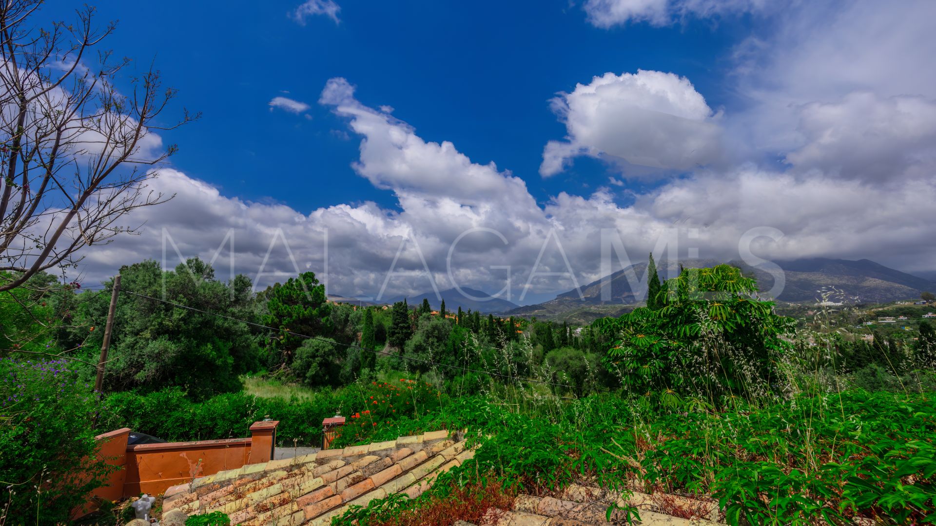 5 bedrooms Nueva Andalucia villa for sale