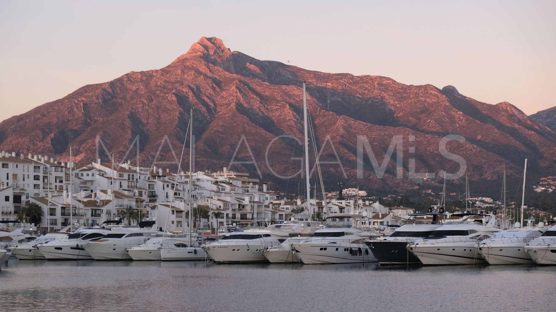 Marbella - Puerto Banus commercial premises for sale