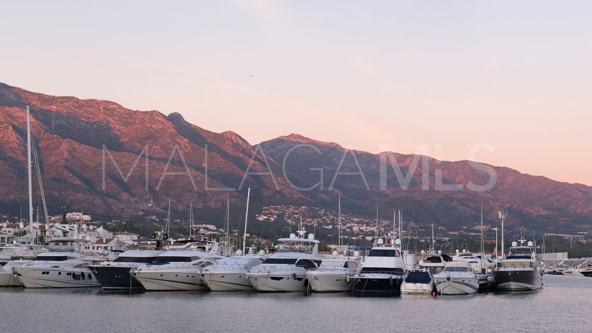 Marbella - Puerto Banus commercial premises for sale