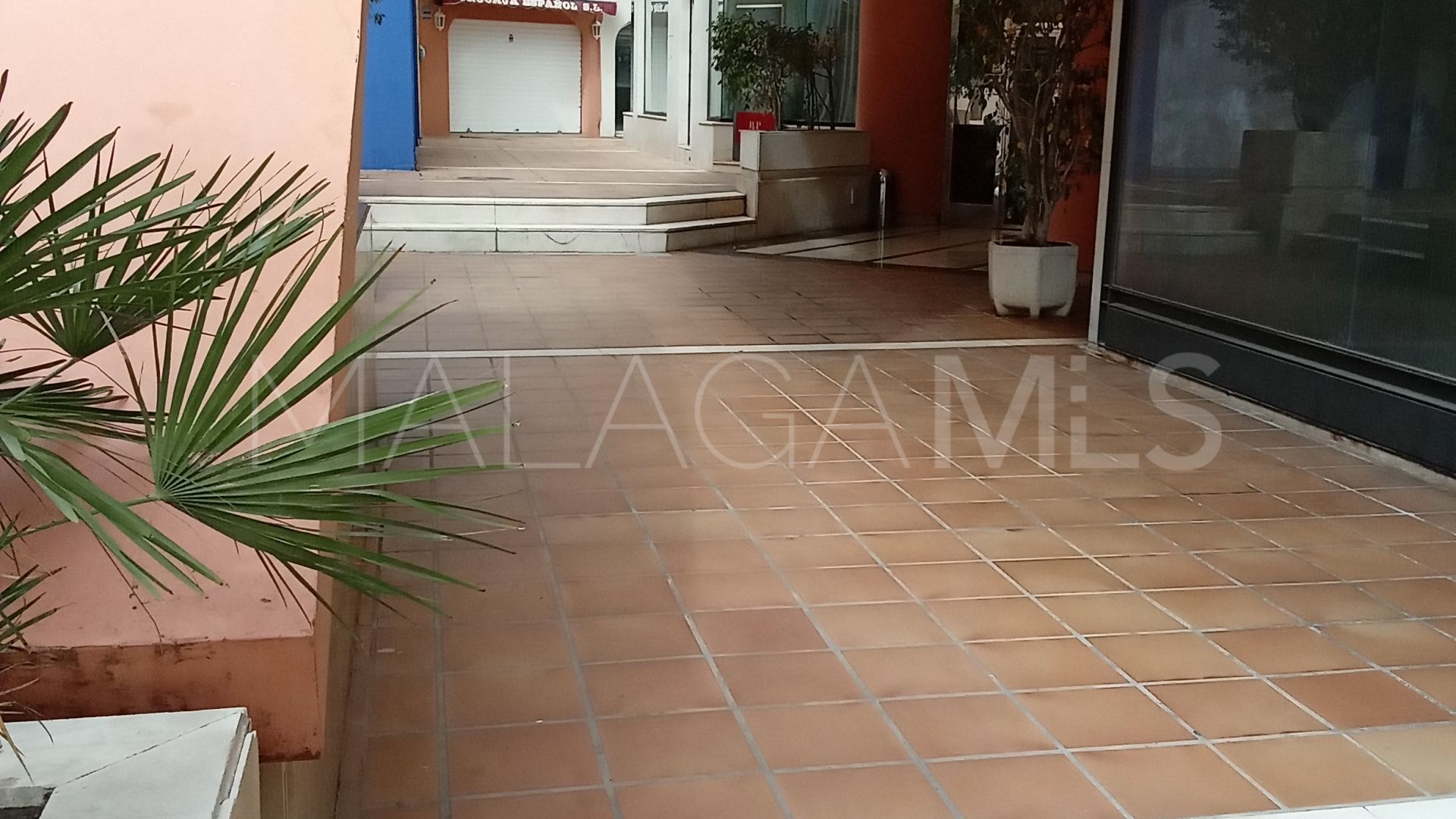 Apartment in Ricardo Soriano for sale